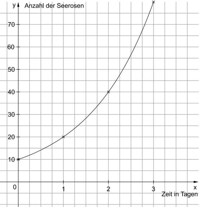 Graph der Anzahl von Seerosen über die Zeit in Tagen.